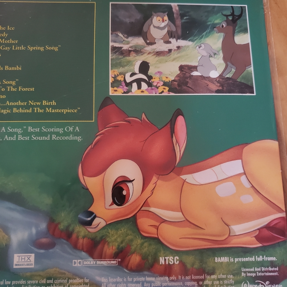 Vintage Disney Laser Discs - Picture 7 of 7